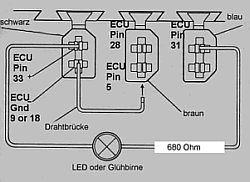 Schema der drei Diagnosestecker MAC14 mit Plus- und Minusanschlüssen